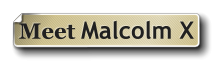 Meet Malcolm X